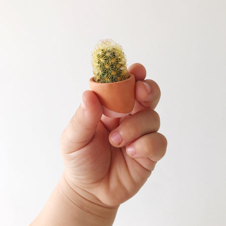 Child Hand Holding a Mini Fernando in a Mini Terra-Cotta Planter