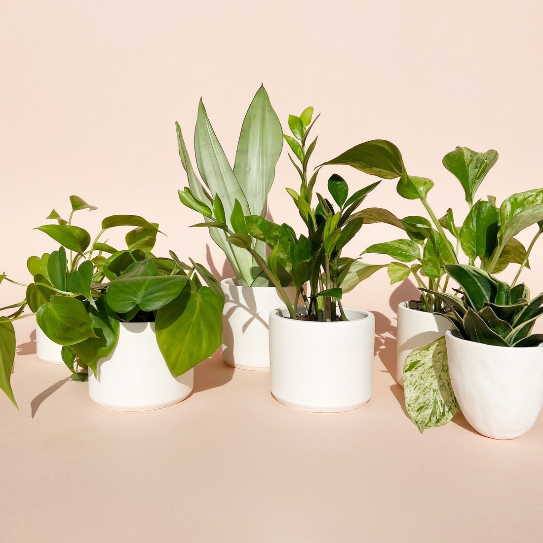 How to *actually* understand types of indoor light