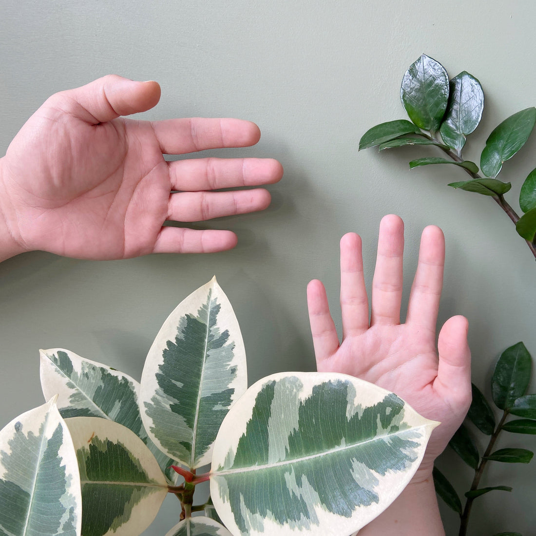 Are you making these plant tool mistakes?