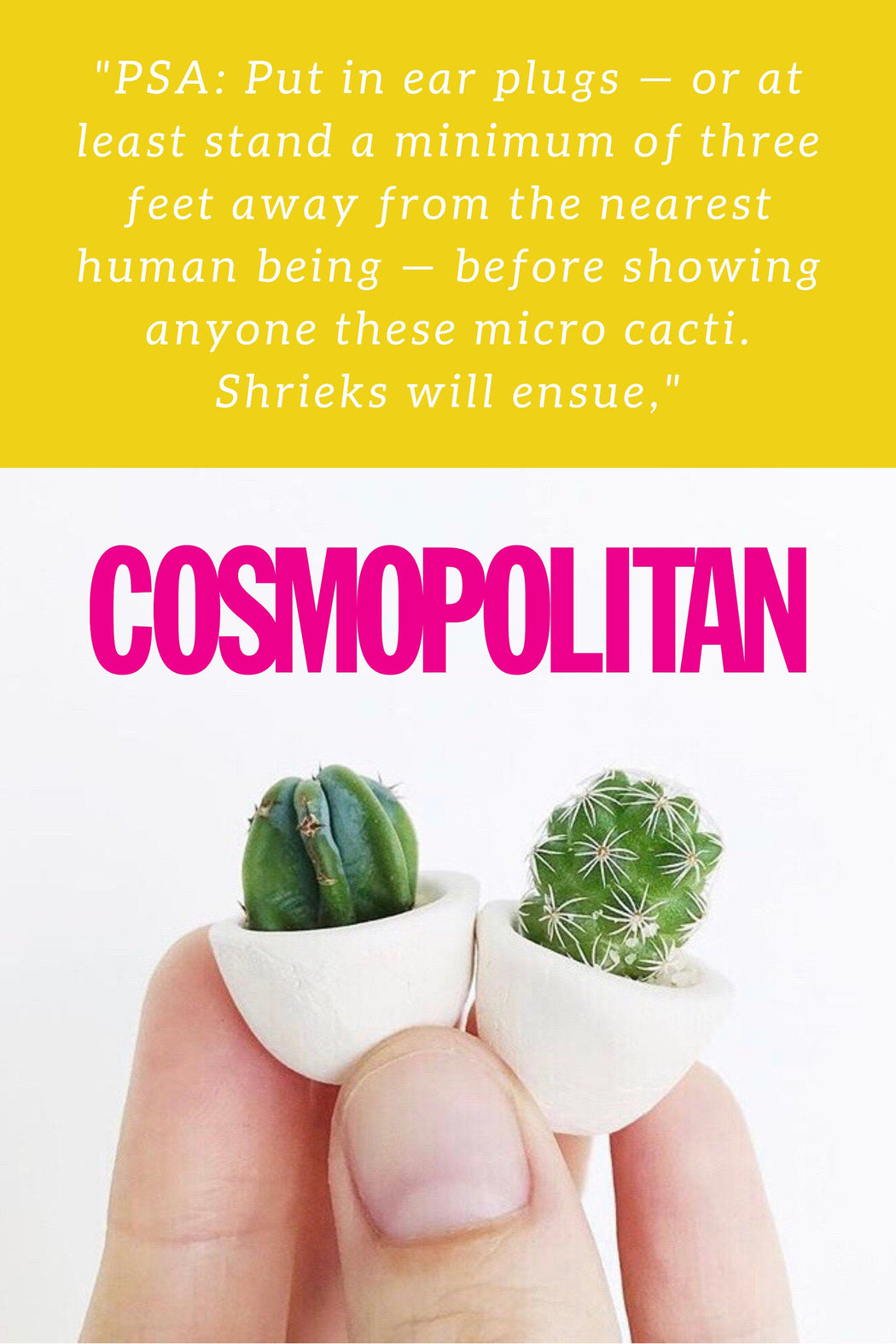 SURPRISE! Micro Mini Cactus + Handmade Ceramic Planter; Cacti + Succulents.