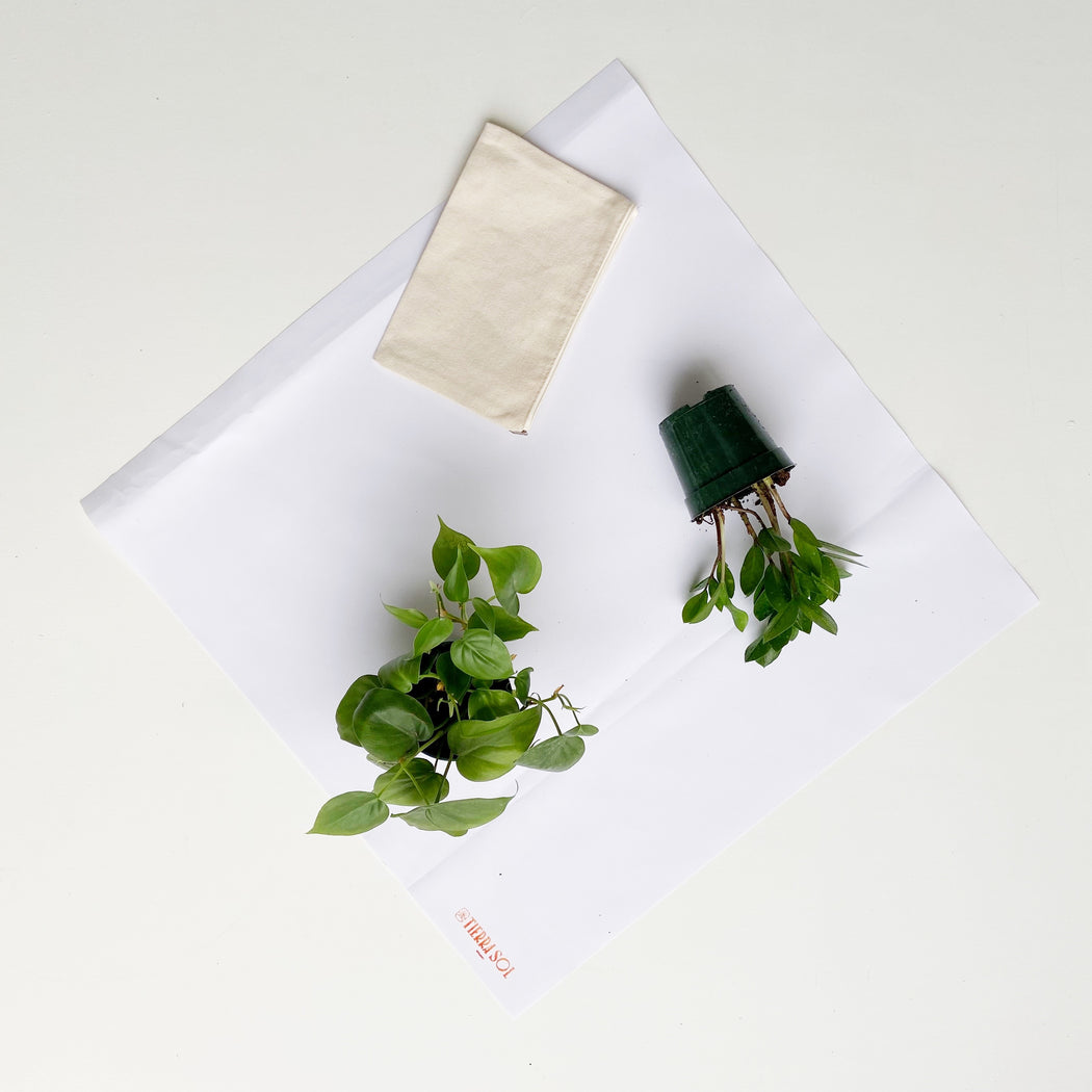 Plant Potting Tarp; Plant Tools.