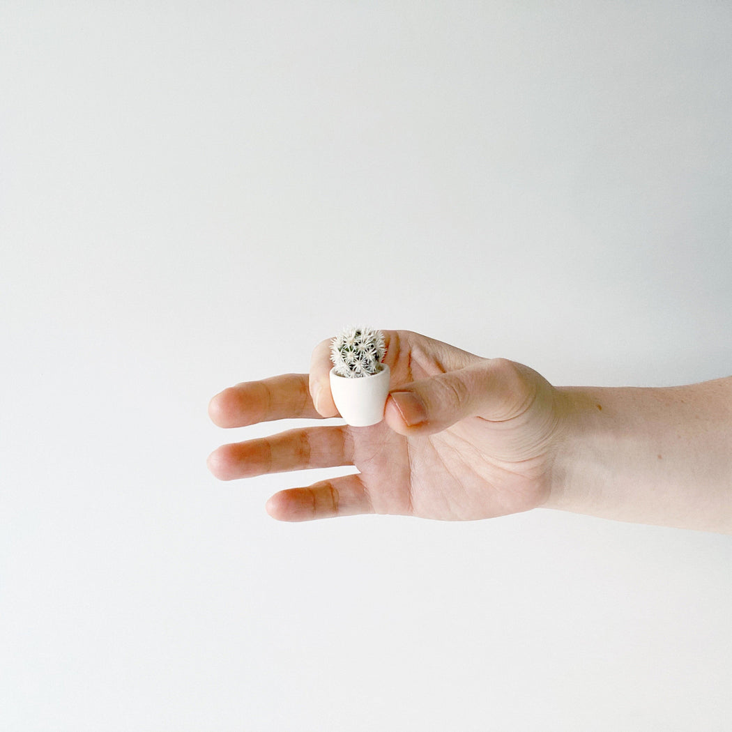 Hand holding Candace white Mini Cactus potted in white Ceramic Planter
