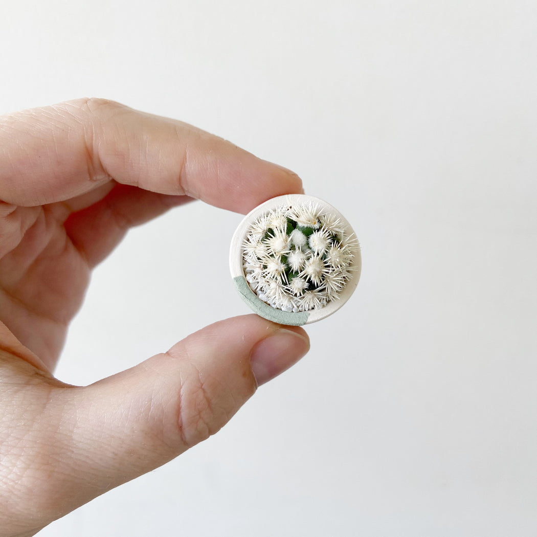 Mini Cactus + Green Circle Mini Planter; Cacti + Succulents.