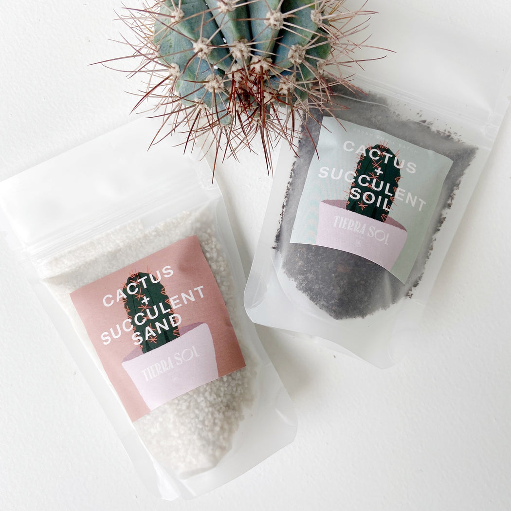 Bags of sand and soil for plant killers and a barrel cactus named June