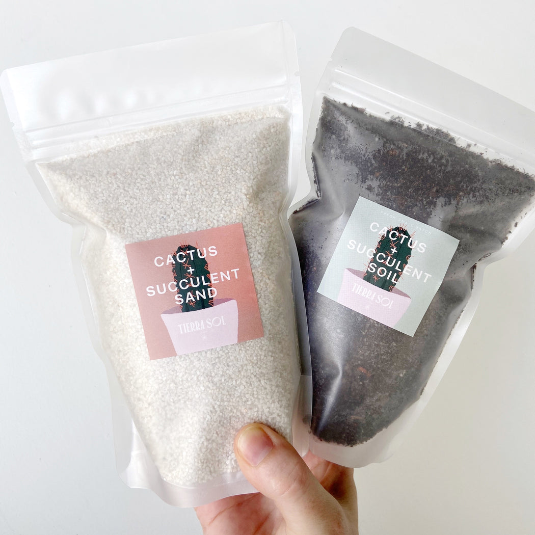 Hand holding Bags of the best Cactus and Succulent Soil and Sand for a 6 in pot