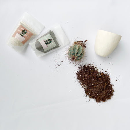 Plant Care Kit with Cactus, Handmade Planter, Soil and Sand - Everything You need to Take care of a Plant