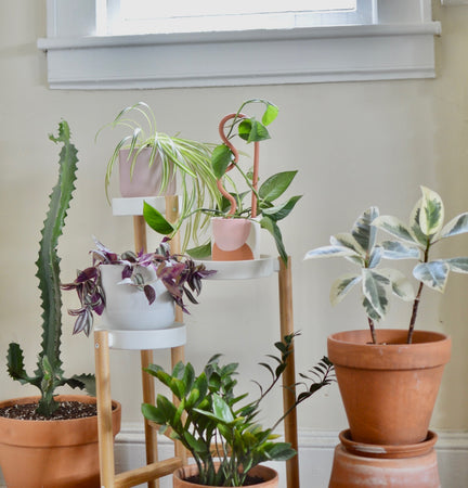 The 4 planter types + the pros and cons of each for thriving plants!