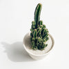 Lorenzo Cactus + Handmade Ceramic Planter; Cacti + Succulents.