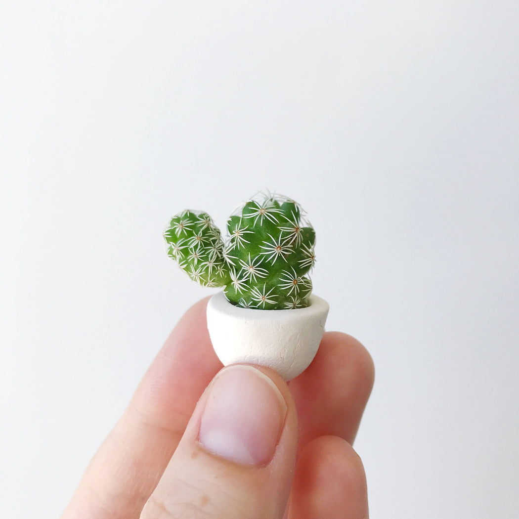 Lino Mini Cactus + Handmade Ceramic Planter; Cacti + Succulents.
