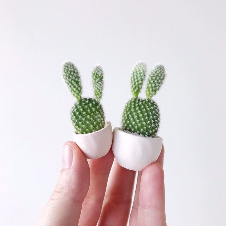 Two Ferdinand Mini Cactus with bunny ears planted in Handmade Planters