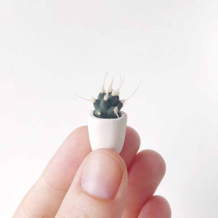 Pepi Mini Cactus + Handmade Ceramic Planter; Cacti + Succulents.