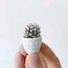 Hand holding Candace Mini Cactus planted in White and Aqua  Ceramic Planter