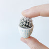 Hand holding not prickly cactus Candace in white and aqua Handmade mini ceramic planter