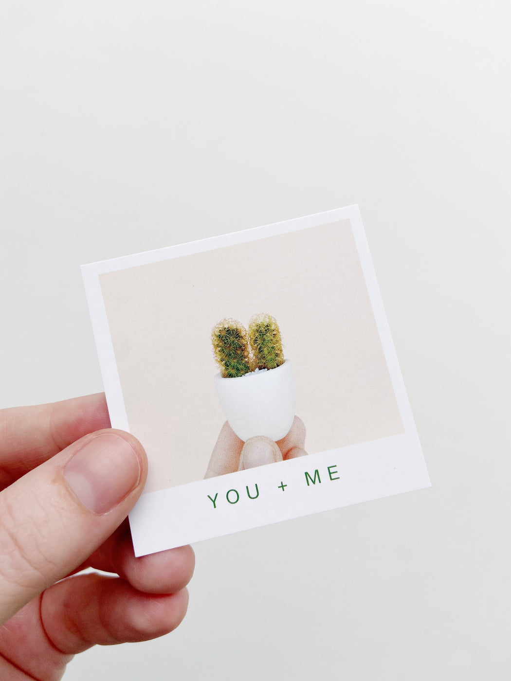 You + Me Mini Cactus and Handmade Ceramic Mini Planter; Cacti + Succulents.